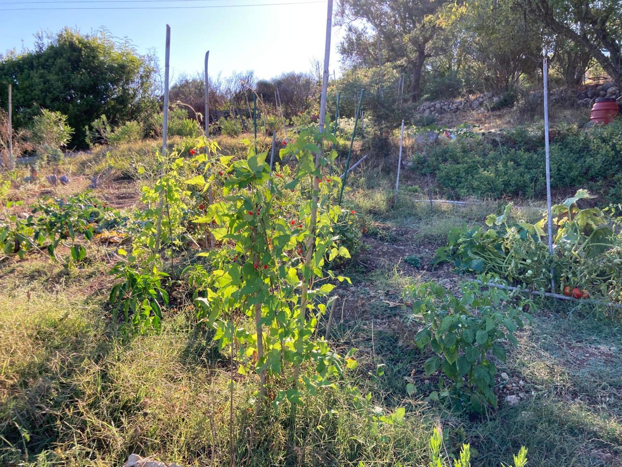 Kokkini Peach House Daire Kokkínion Dış mekan fotoğraf