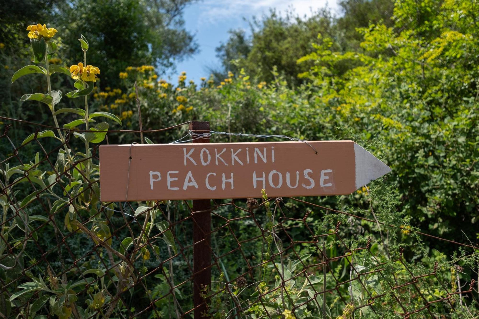 Kokkini Peach House Daire Kokkínion Dış mekan fotoğraf