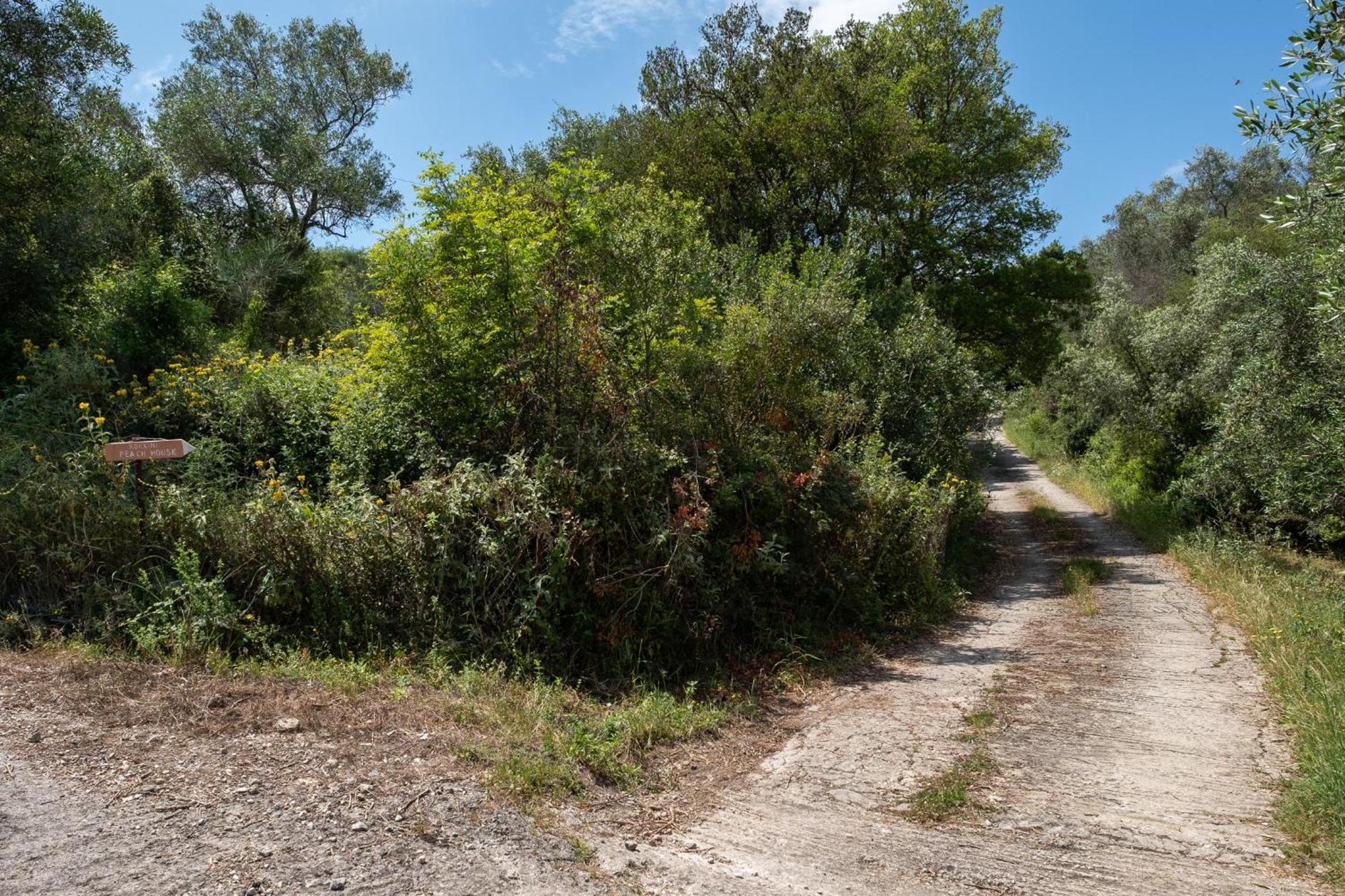 Kokkini Peach House Daire Kokkínion Dış mekan fotoğraf