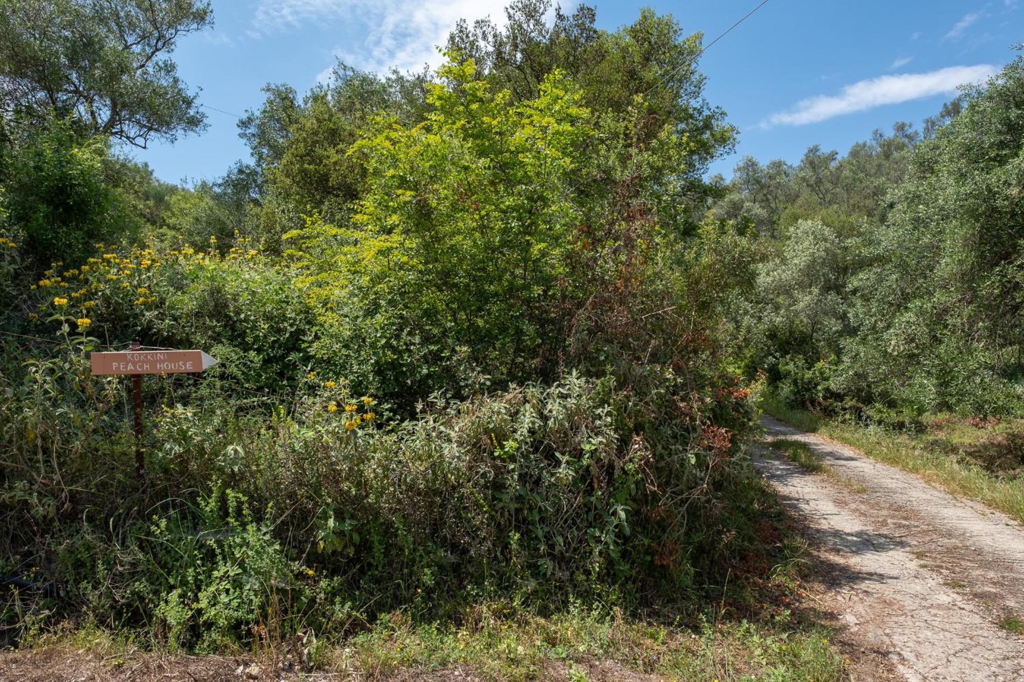 Kokkini Peach House Daire Kokkínion Dış mekan fotoğraf