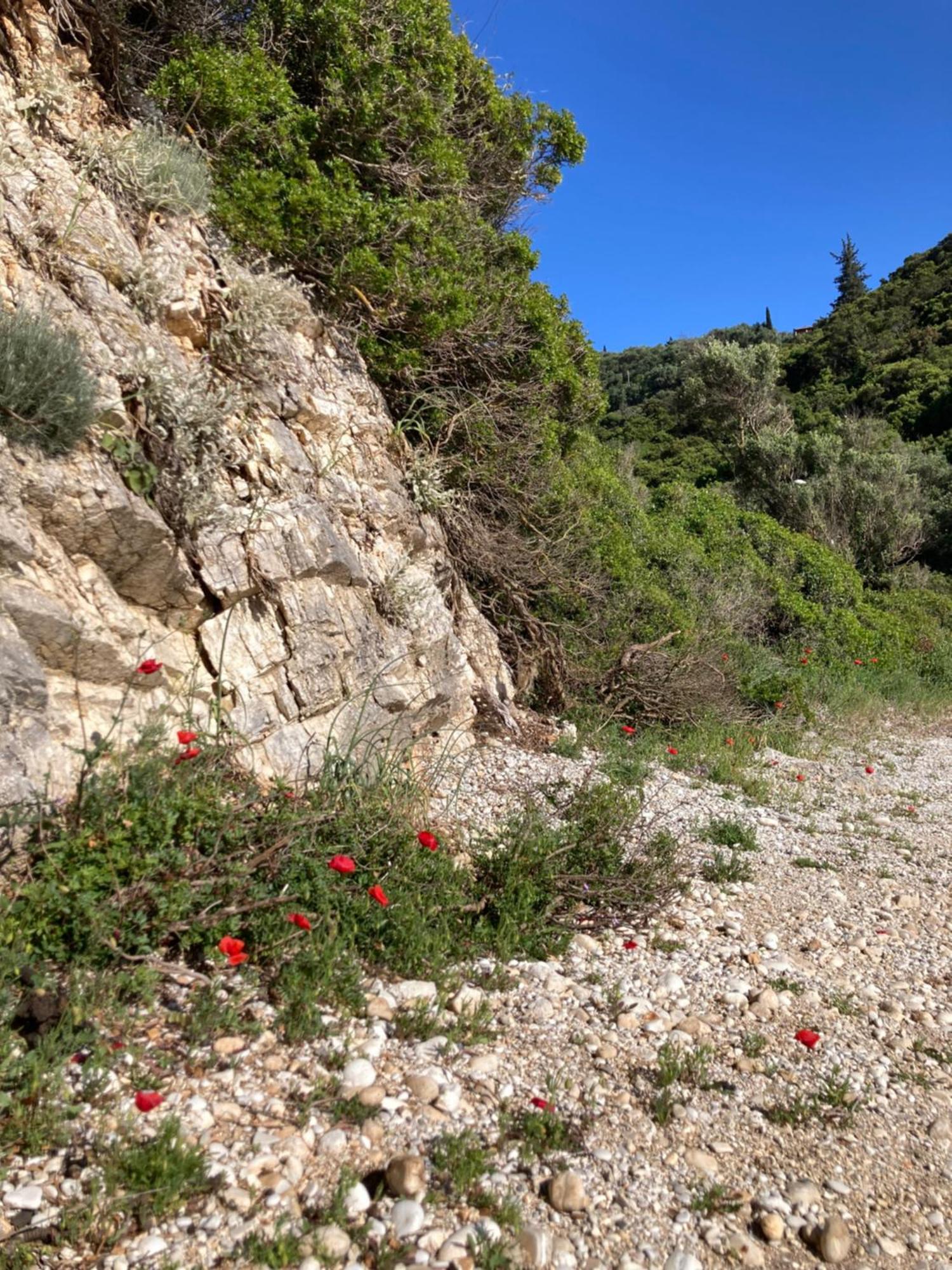 Kokkini Peach House Daire Kokkínion Dış mekan fotoğraf