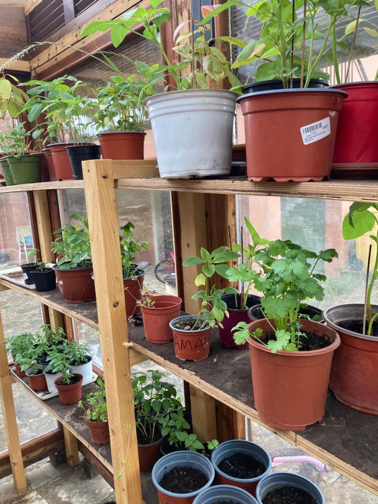 Kokkini Peach House Daire Kokkínion Dış mekan fotoğraf